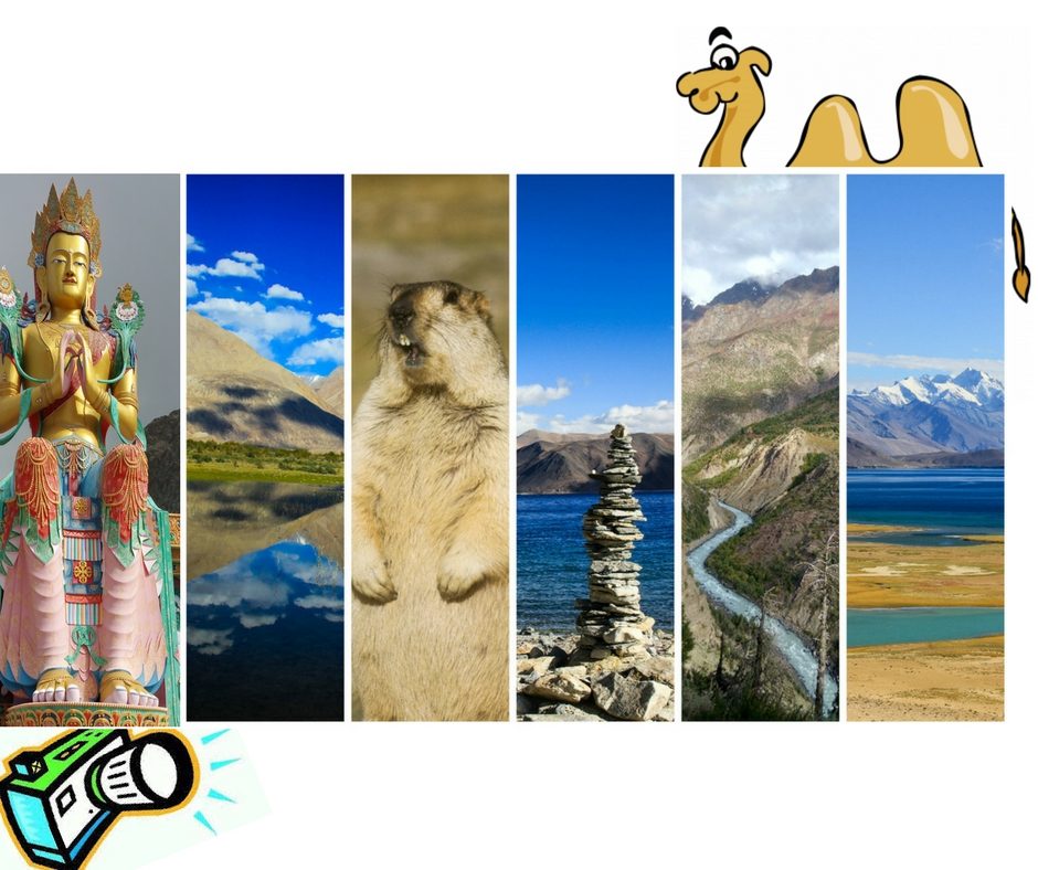 5 things you must do in Ladakh!